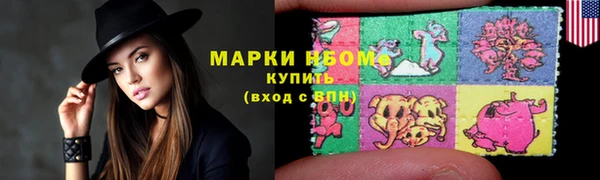 твердый Арсеньев