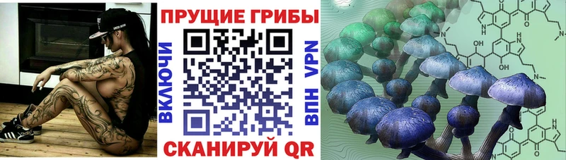 Псилоцибиновые грибы GOLDEN TEACHER  Сарапул 